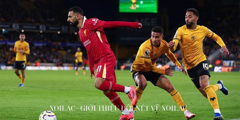 Giới thiệu đôi nét về xoilac