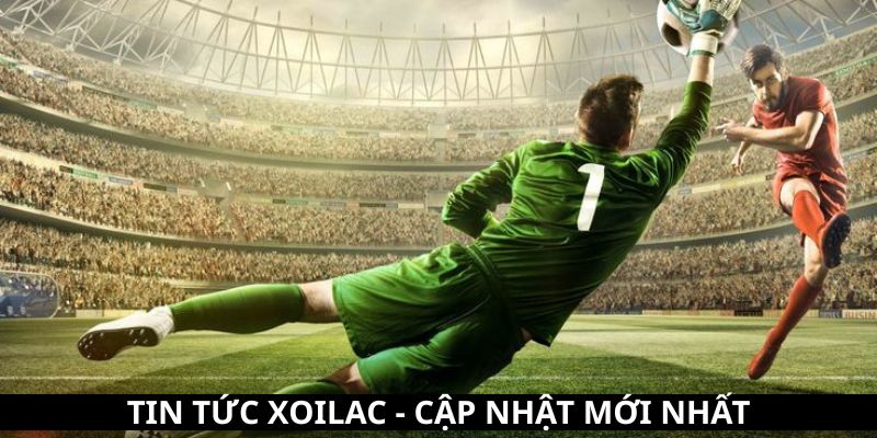 Tin tức xoilac mới nhất